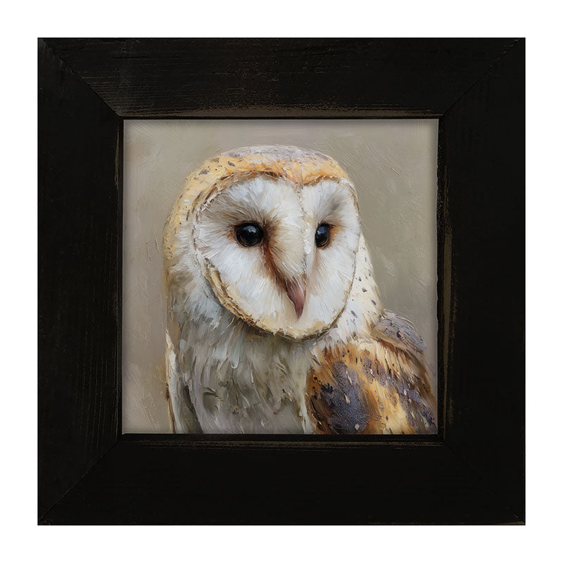 Barn Owl Close-up - Framed Art