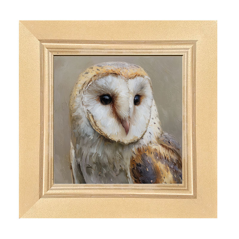 Barn Owl Close-up - Framed Art