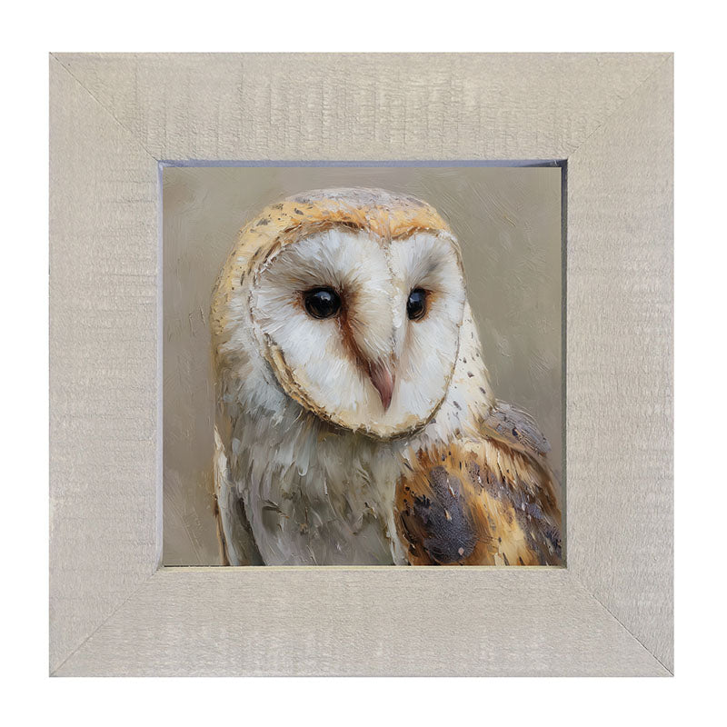 Barn Owl Close-up - Framed Art