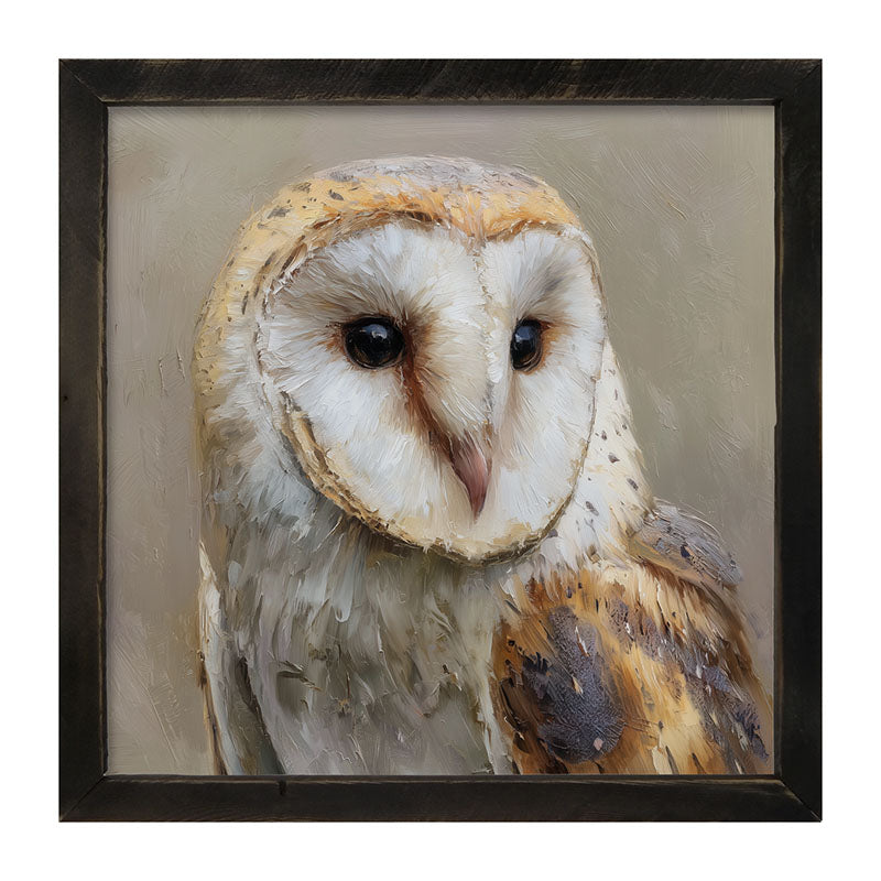Barn Owl Close-up - Framed Art