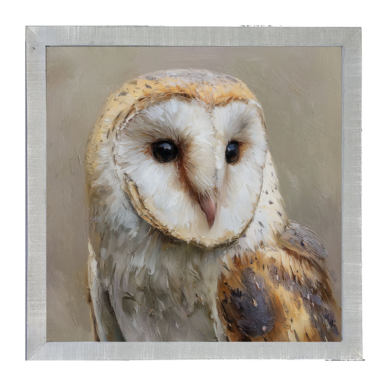 Barn Owl Close-up - Framed Art