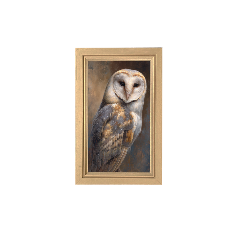 Barn Owl Portrait - Framed Art