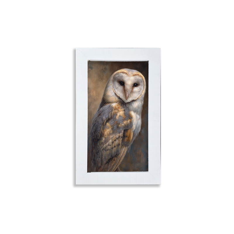 Barn Owl Portrait - Framed Art