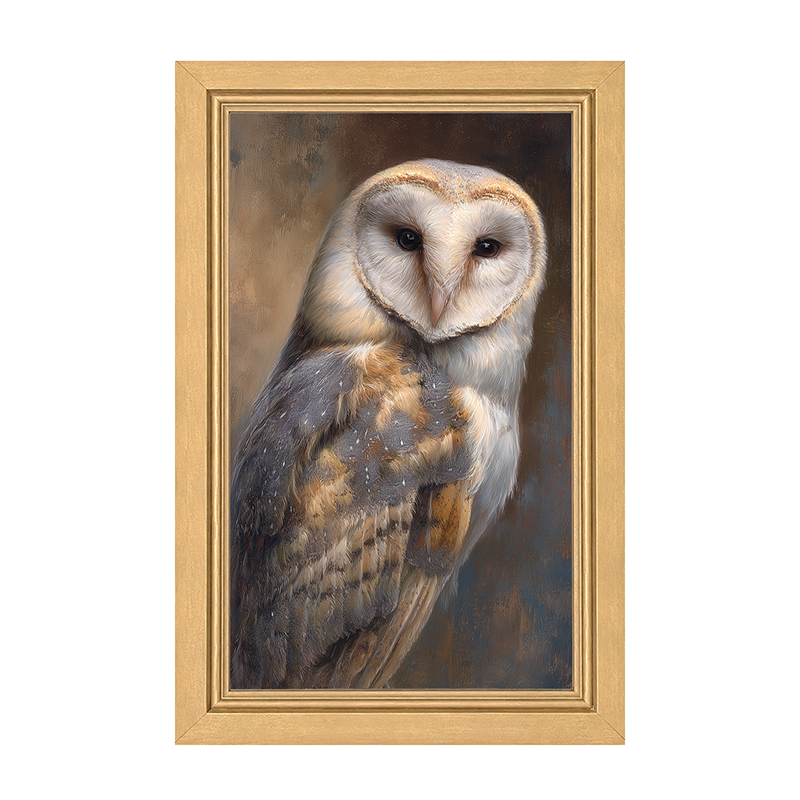 Barn Owl Portrait - Framed Art