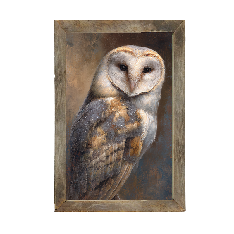 Barn Owl Portrait