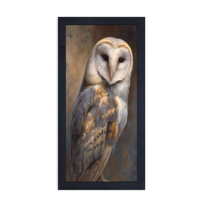 Barn Owl Portrait - Framed Art