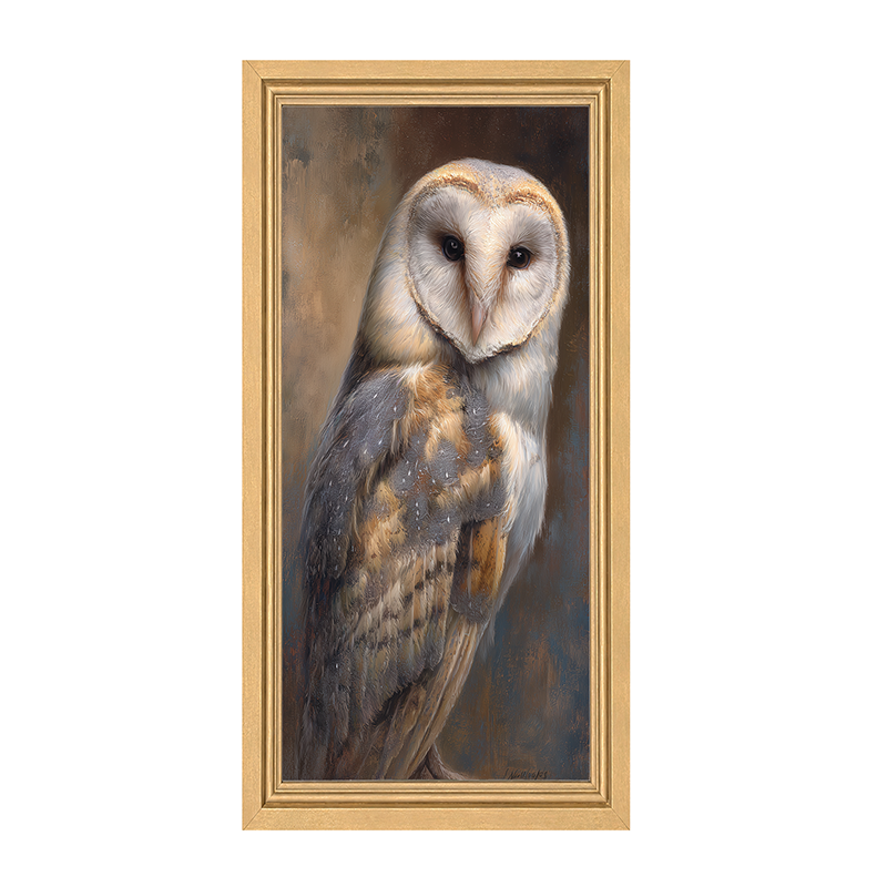 Barn Owl Portrait - Framed Art