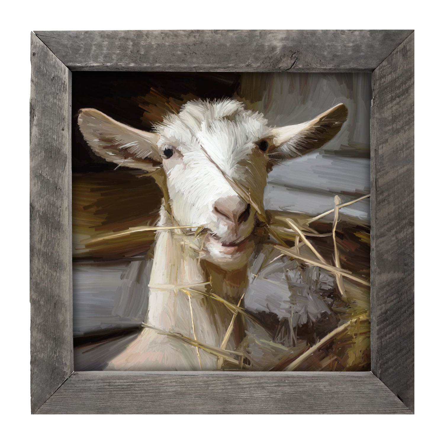 Goat Eating Grass - Framed art