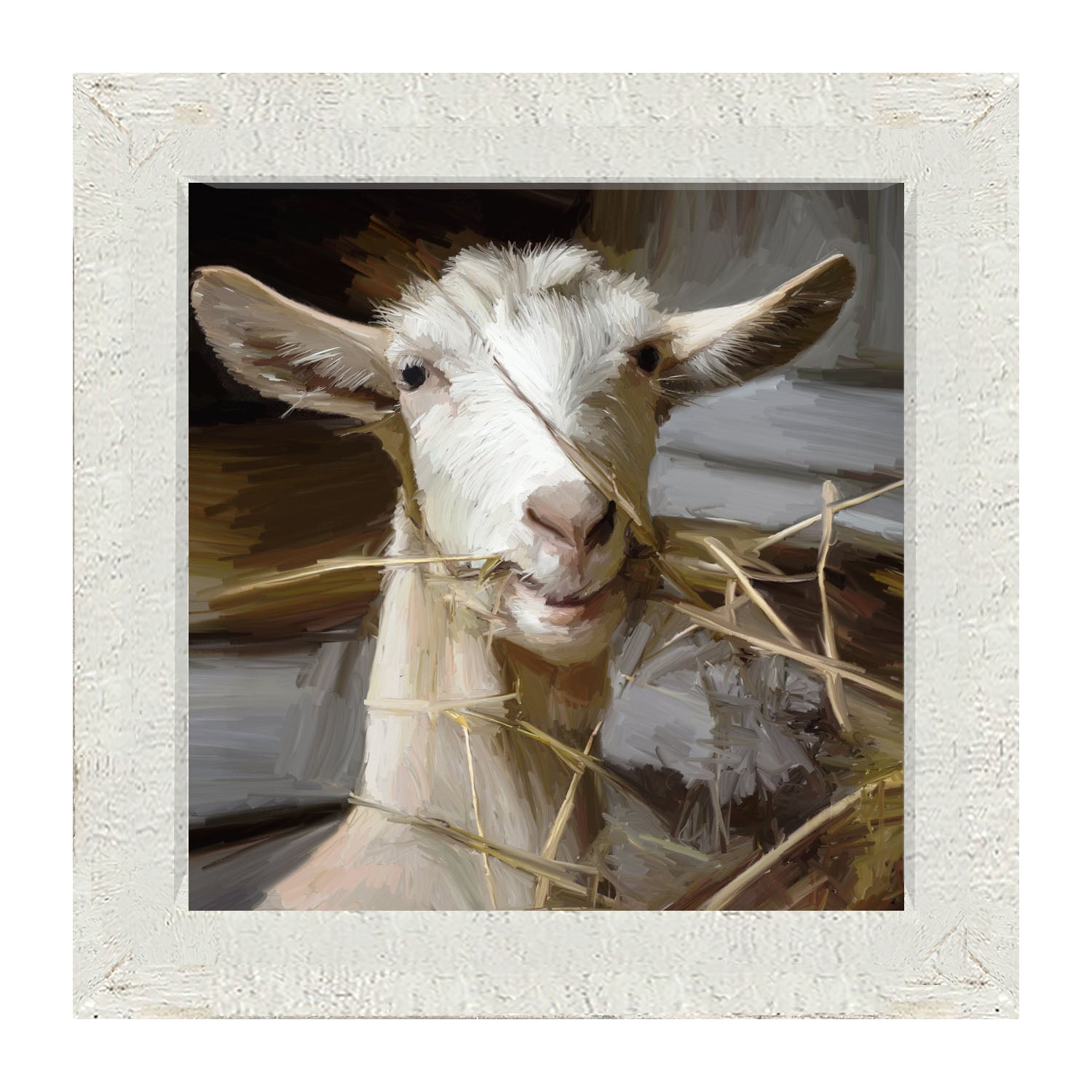 Goat Eating Grass - Framed art