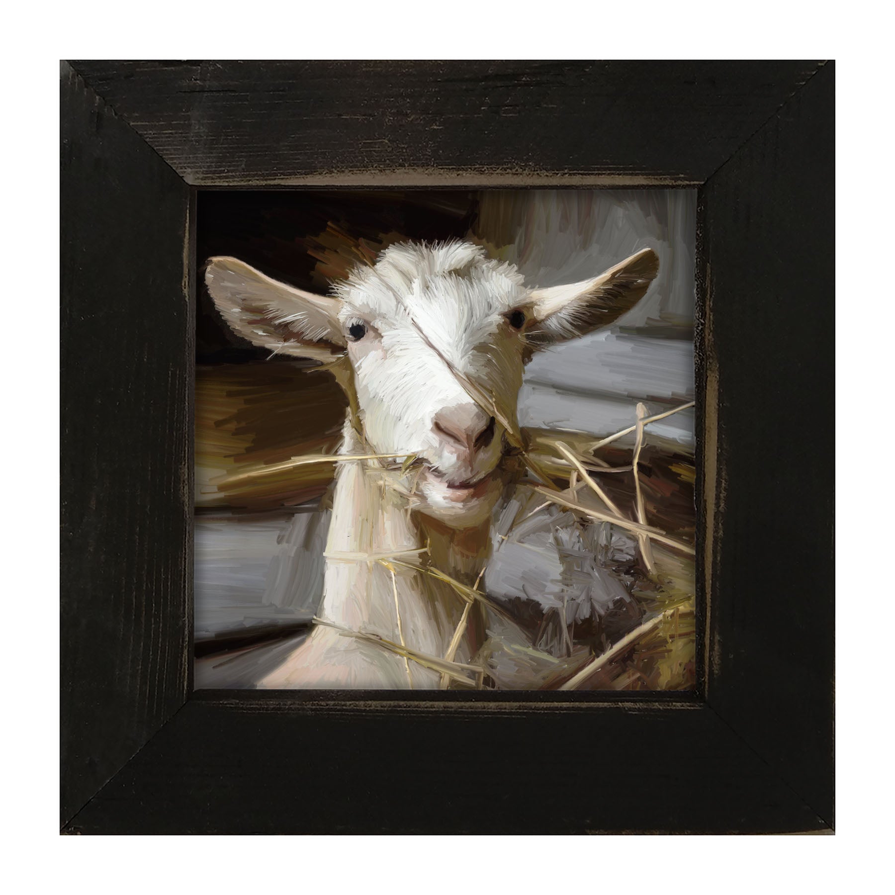 Goat Eating Grass - Framed art