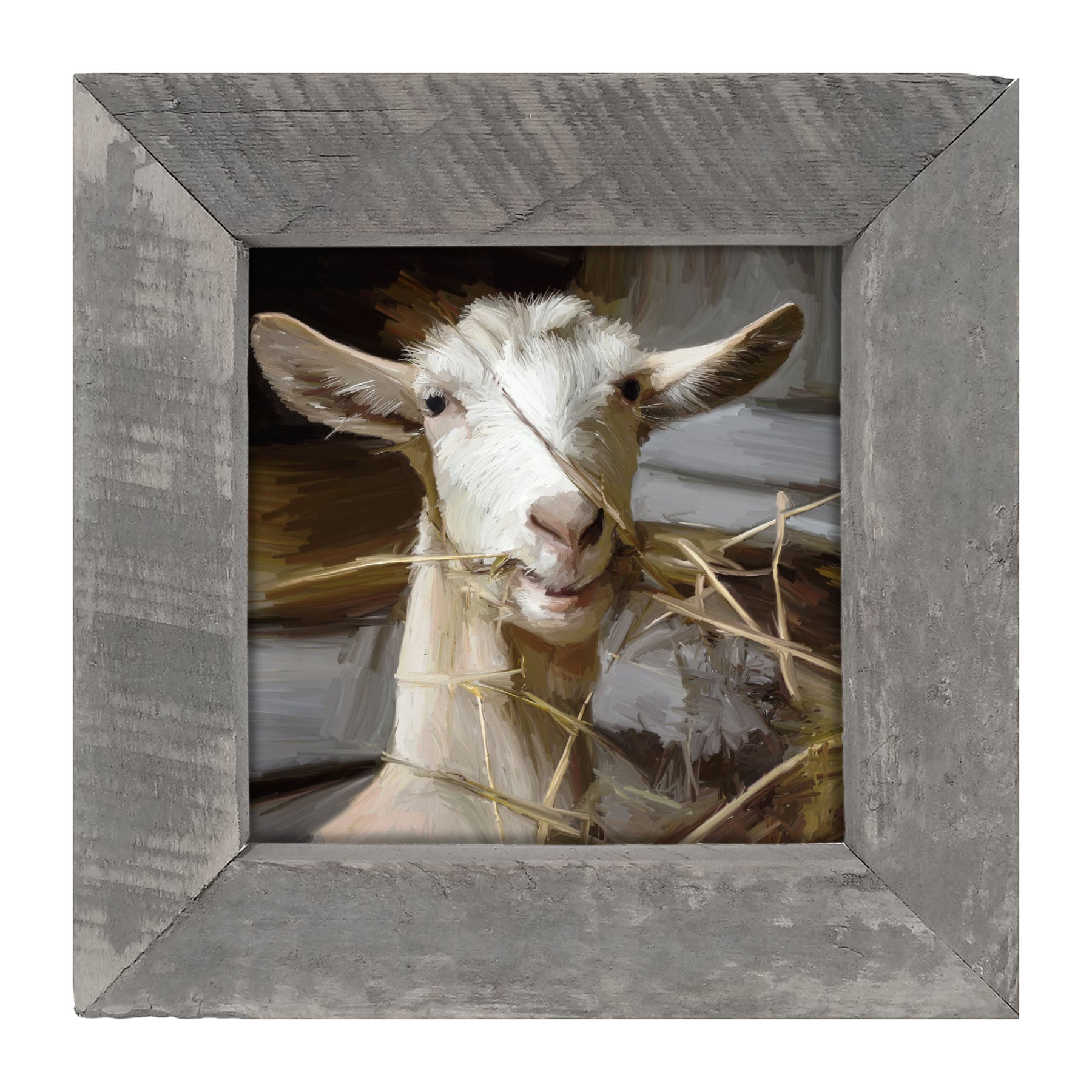 Goat Eating Grass - Framed art