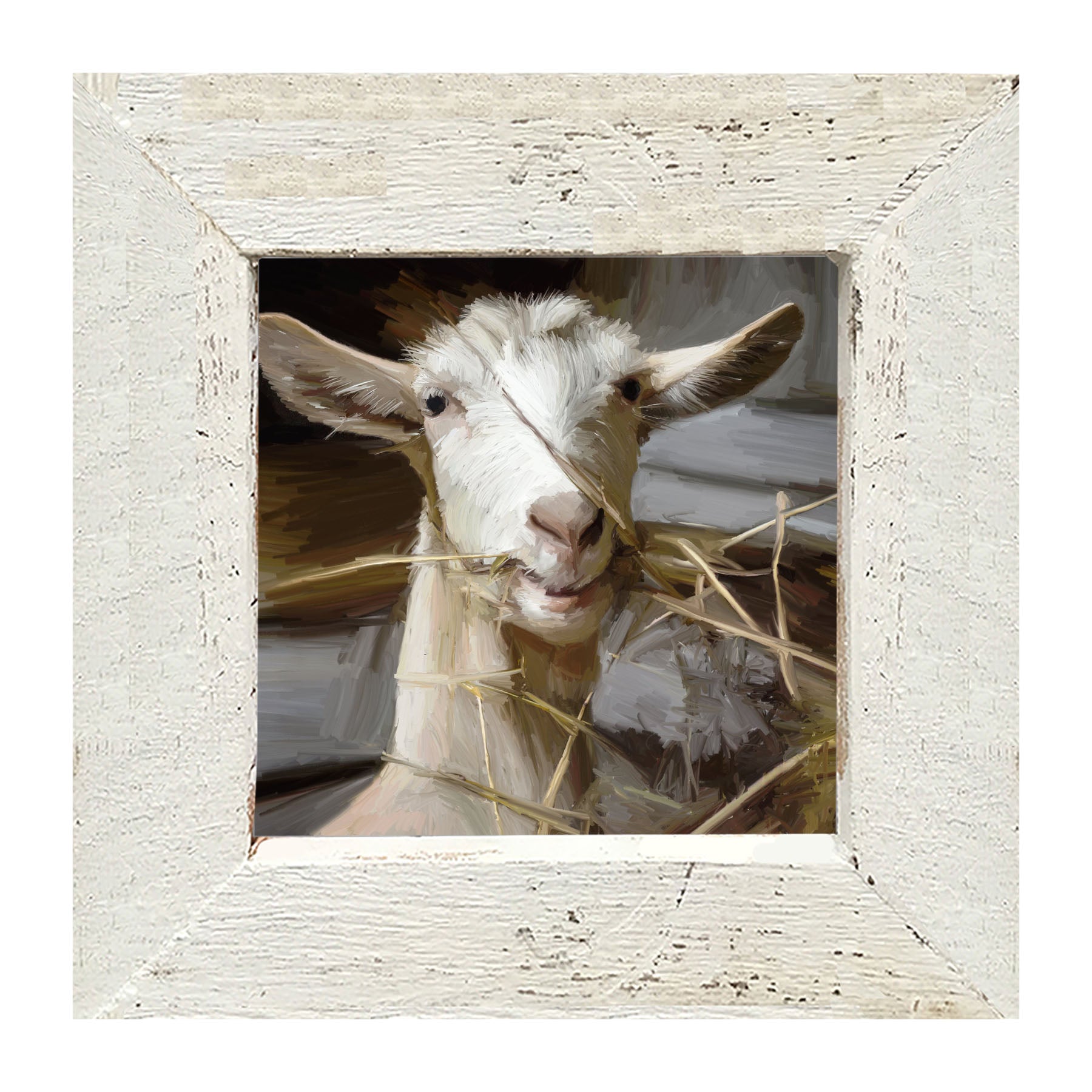 Goat Eating Grass - Framed art