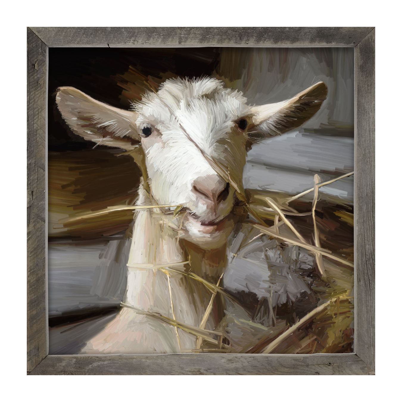 Goat Eating Grass - Framed art