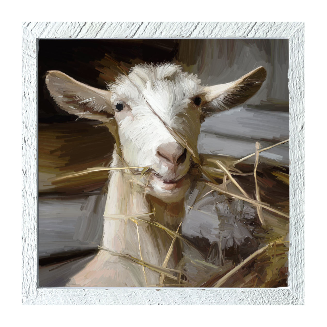 Goat Eating Grass - Framed art