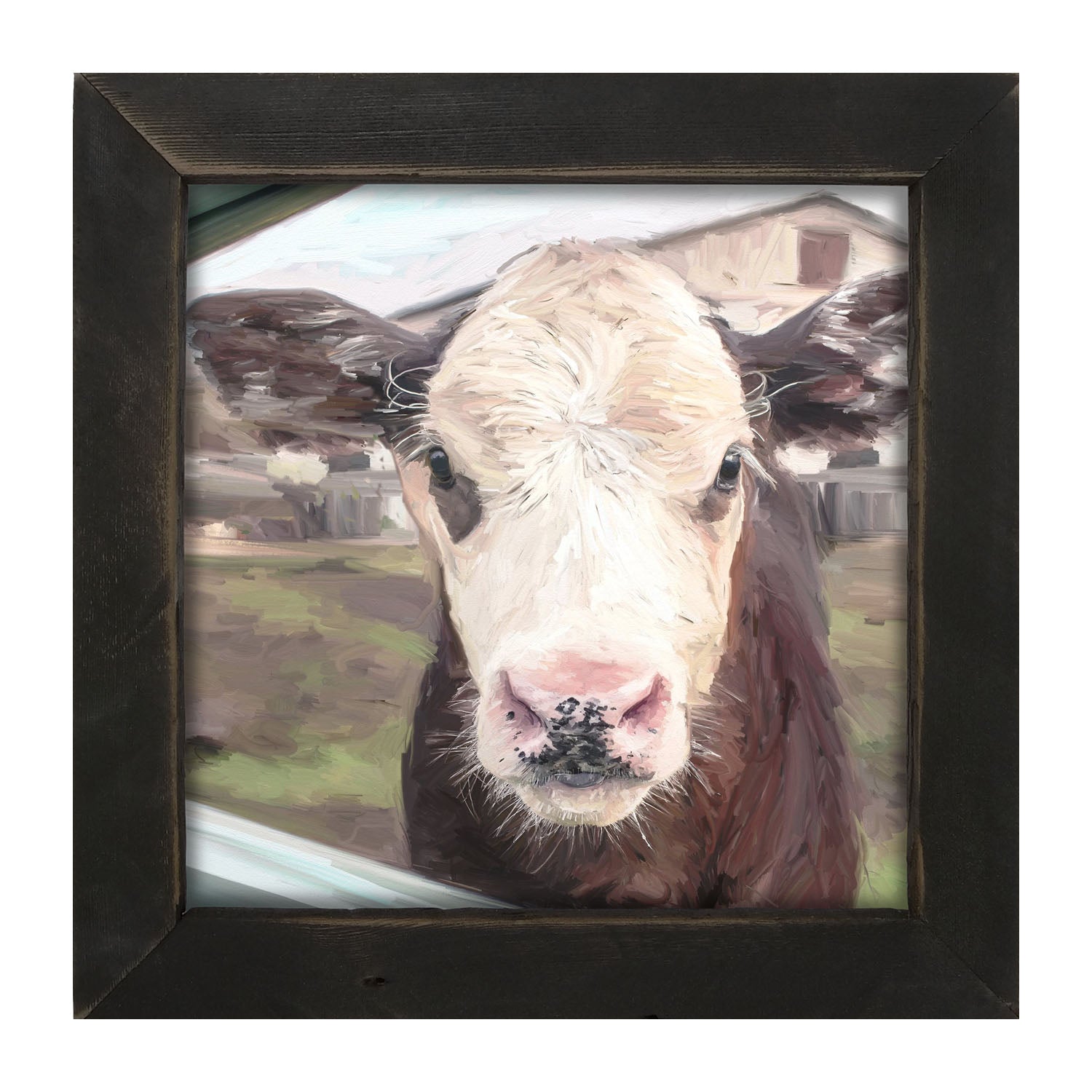 Calf - Framed art