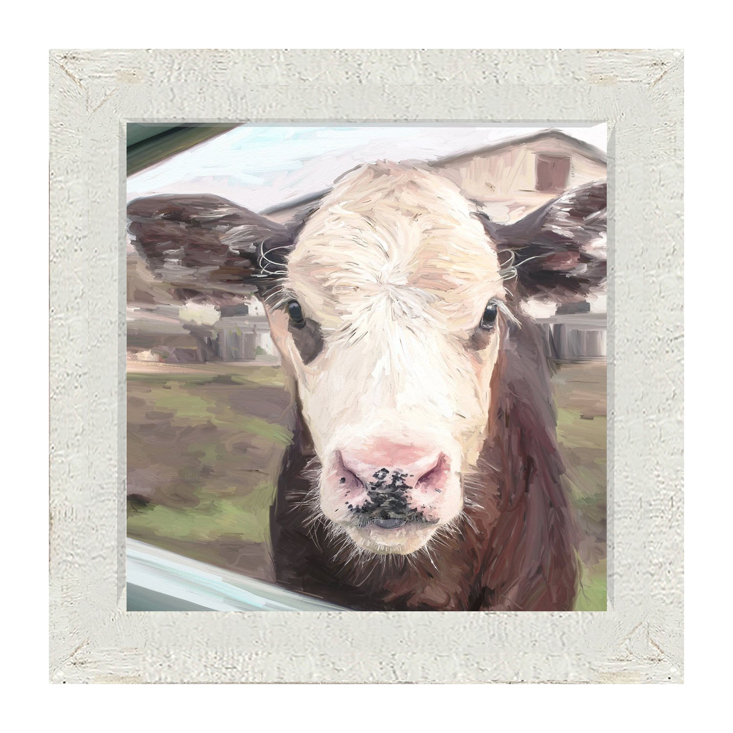 Calf - Framed art