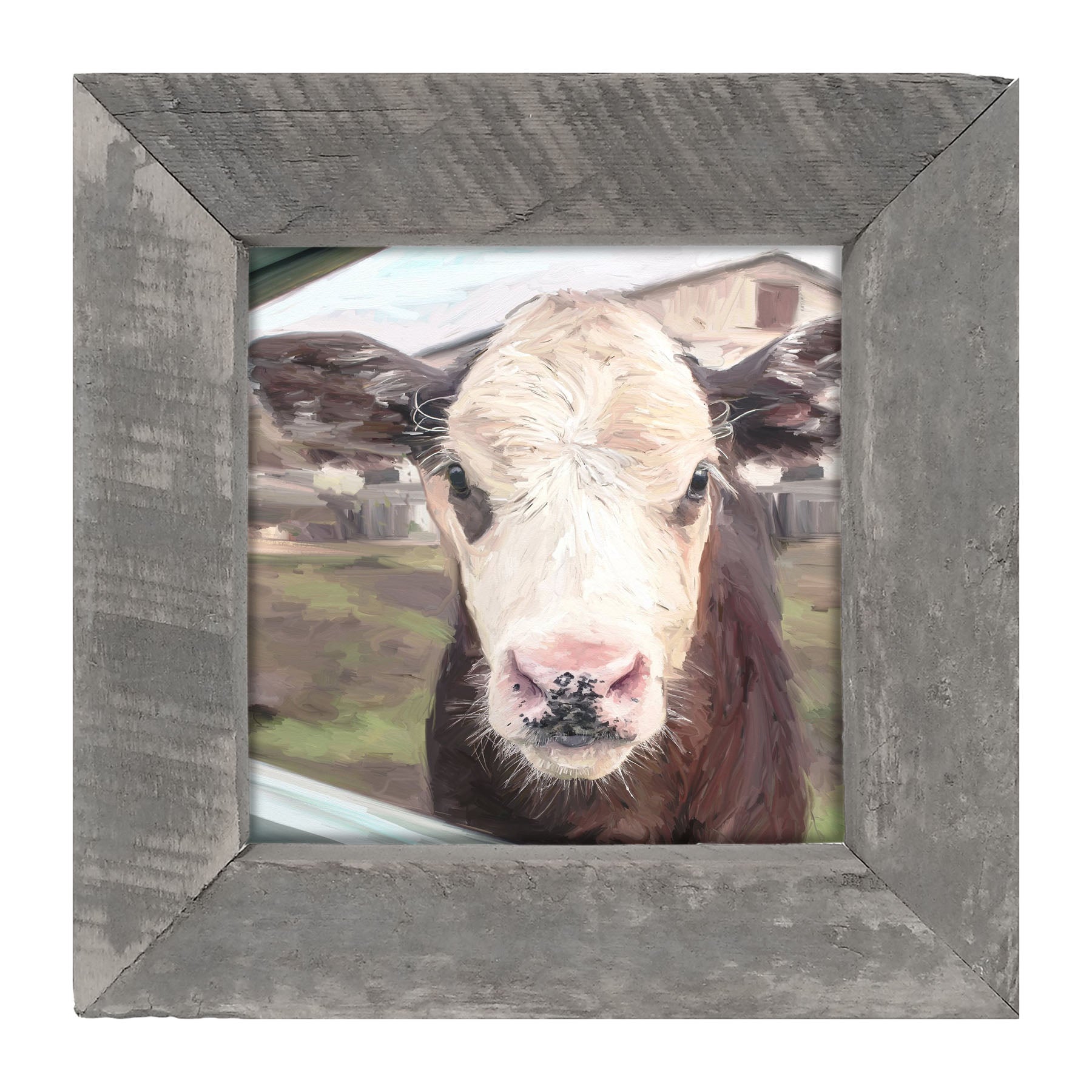 Calf - Framed art