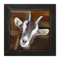 Framed Art