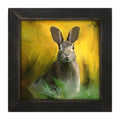 Framed Art