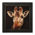 Framed Art