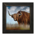 Framed Art