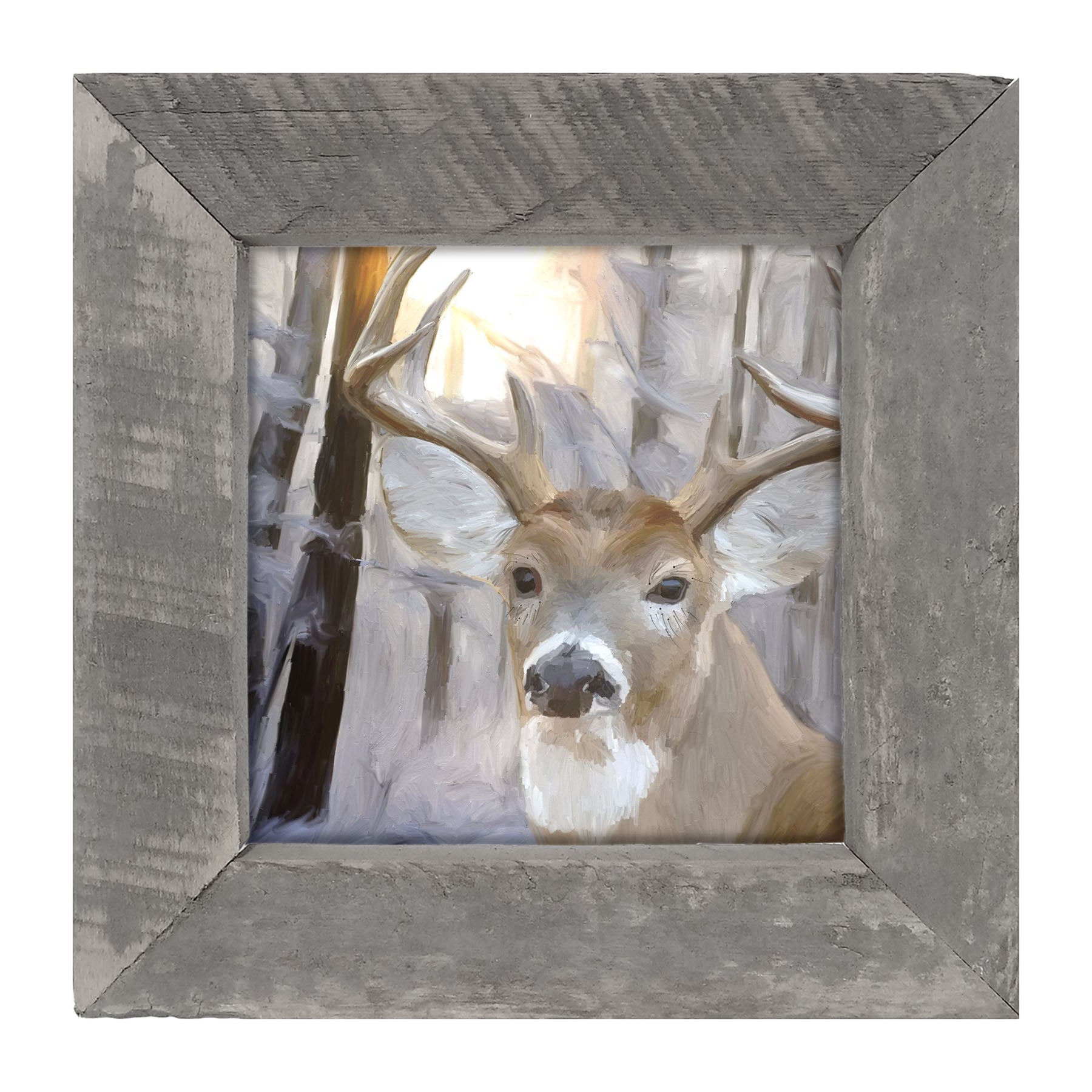 Handsome Buck in Fresh Snow - Framed art