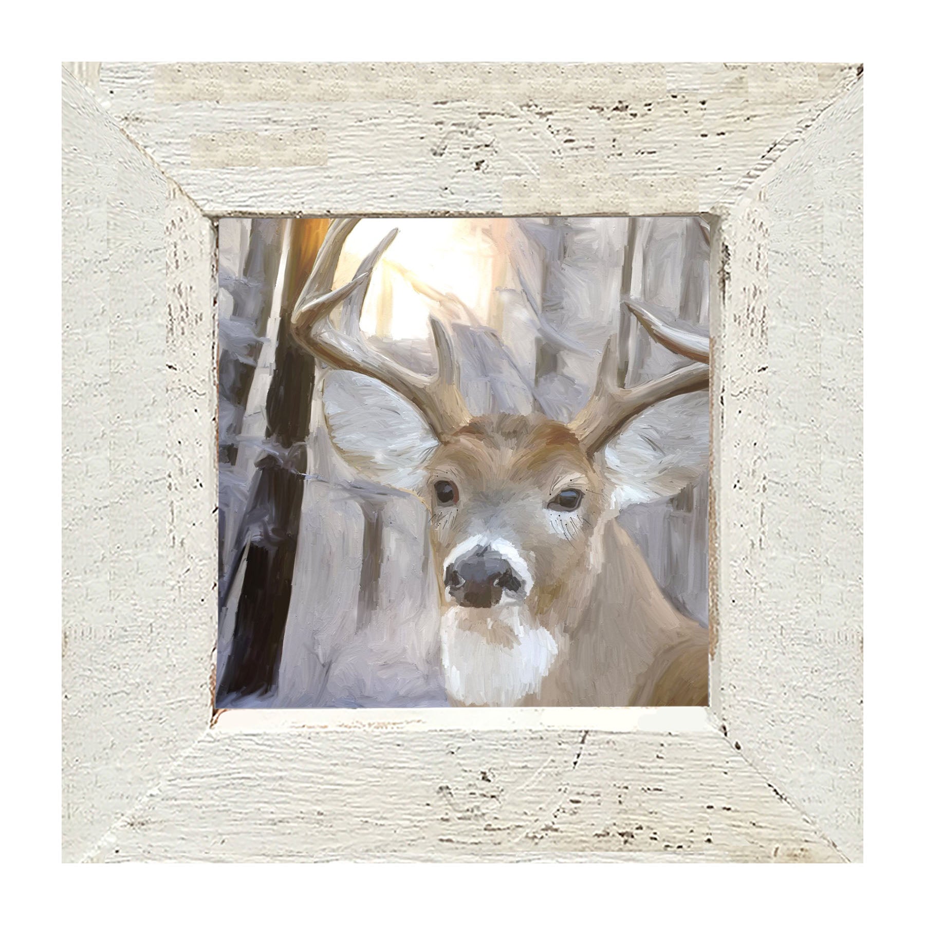 Handsome Buck in Fresh Snow - Framed art