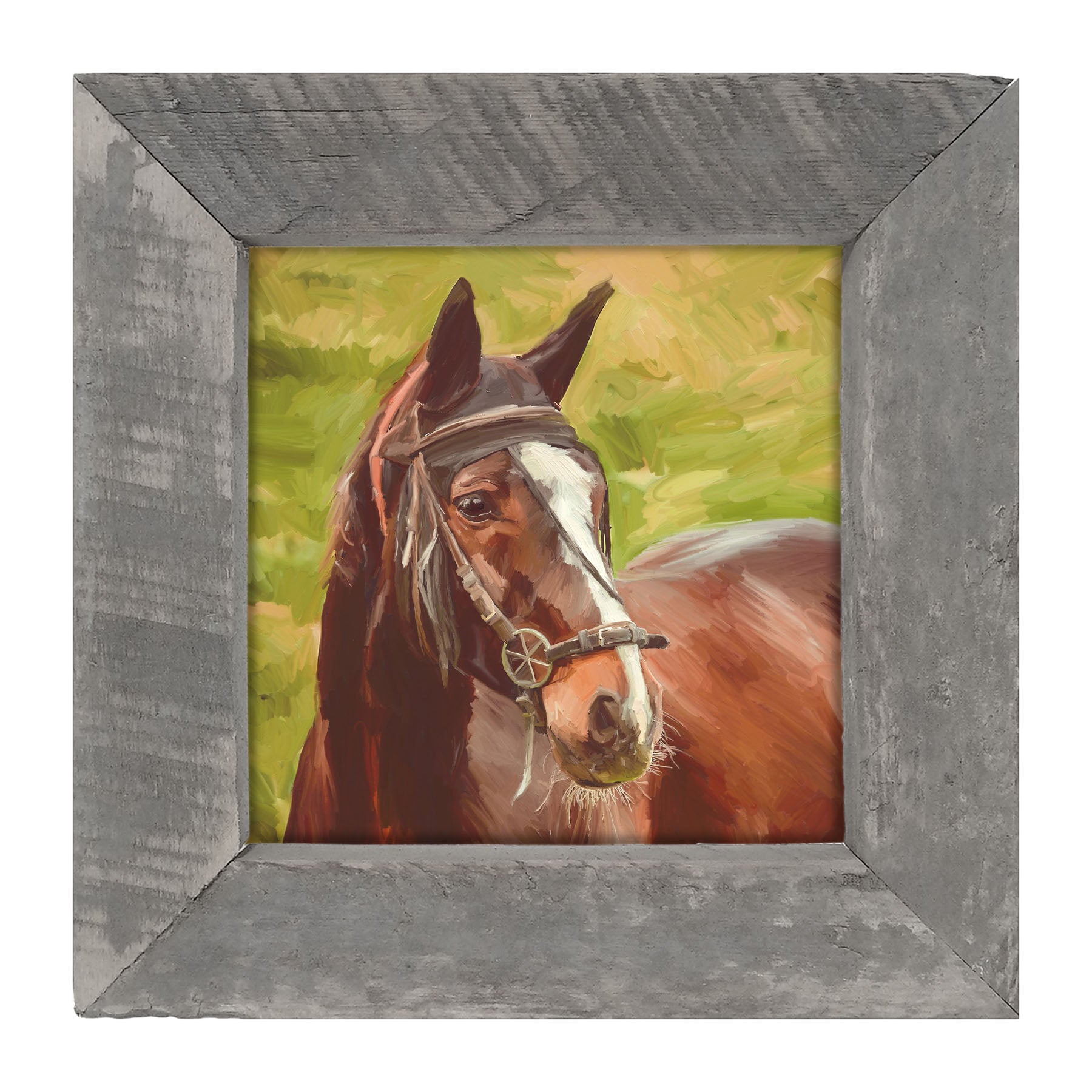 Horse - Framed art