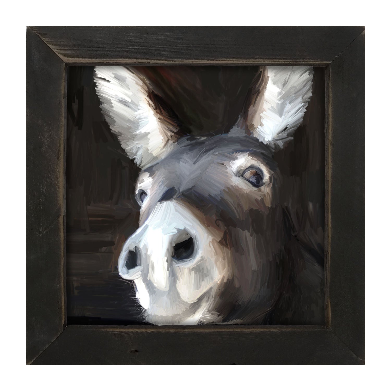 Donkey - Framed art