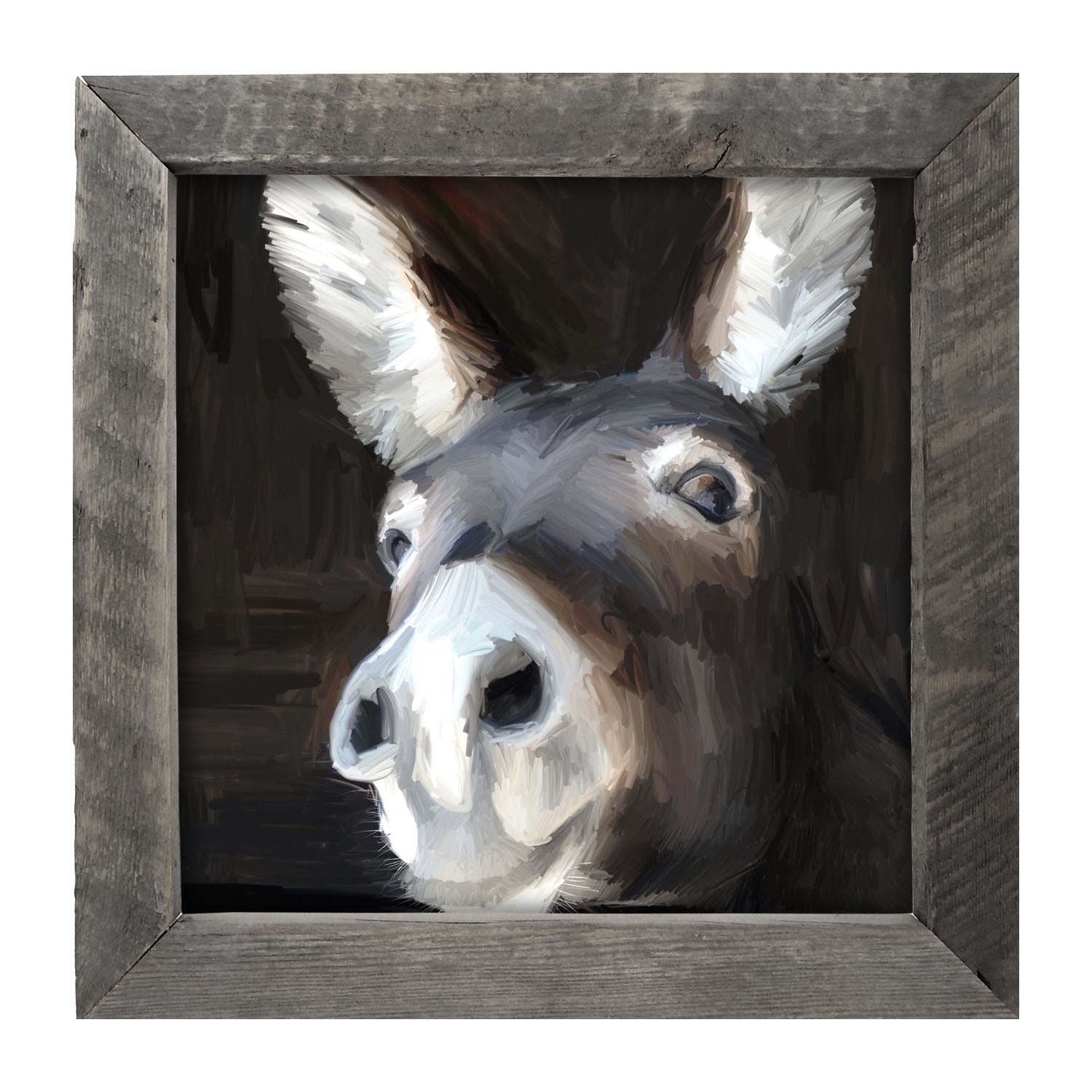 Donkey - Framed art