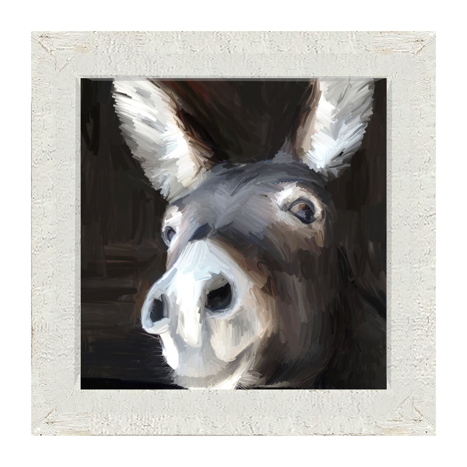 Donkey - Framed art