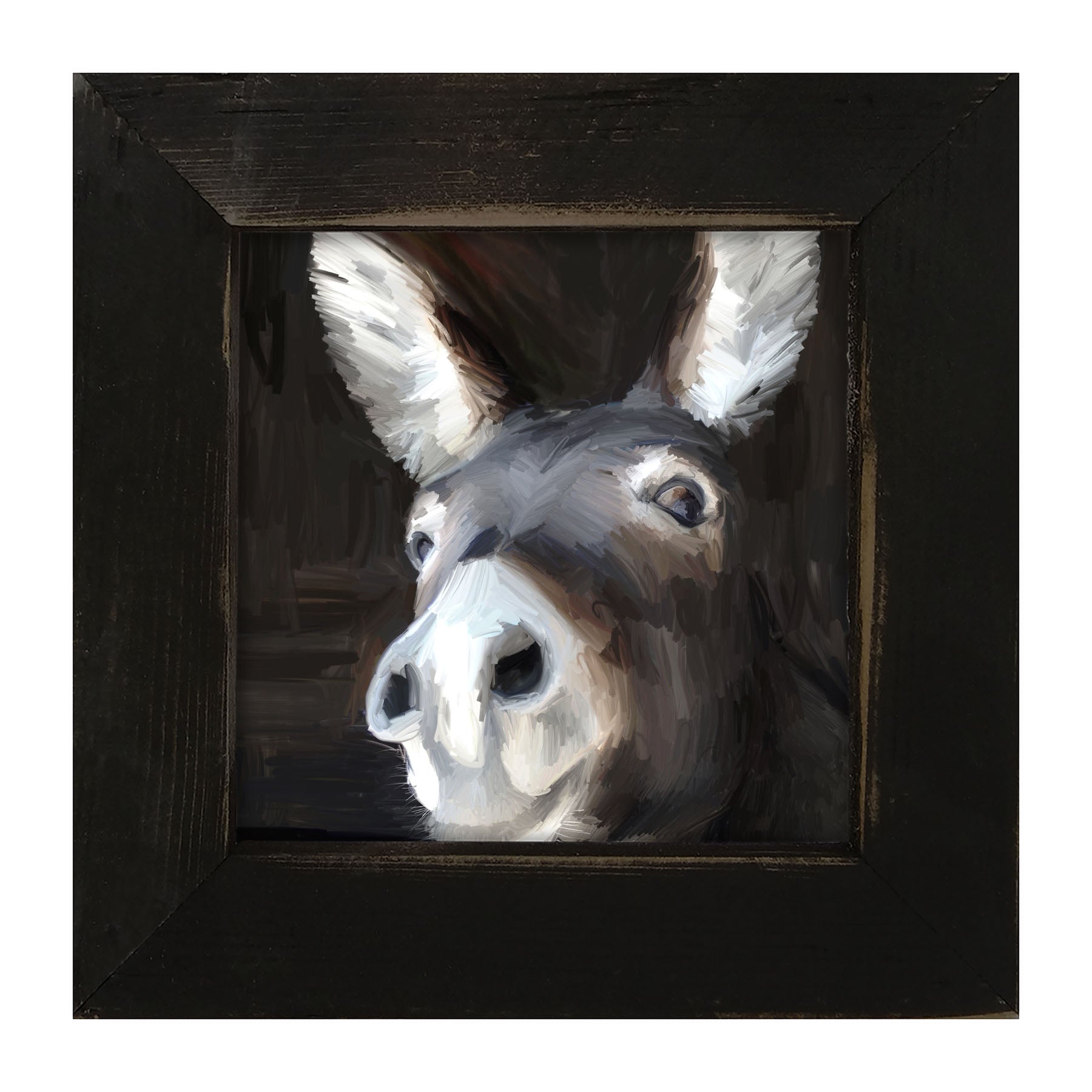 Donkey - Framed art