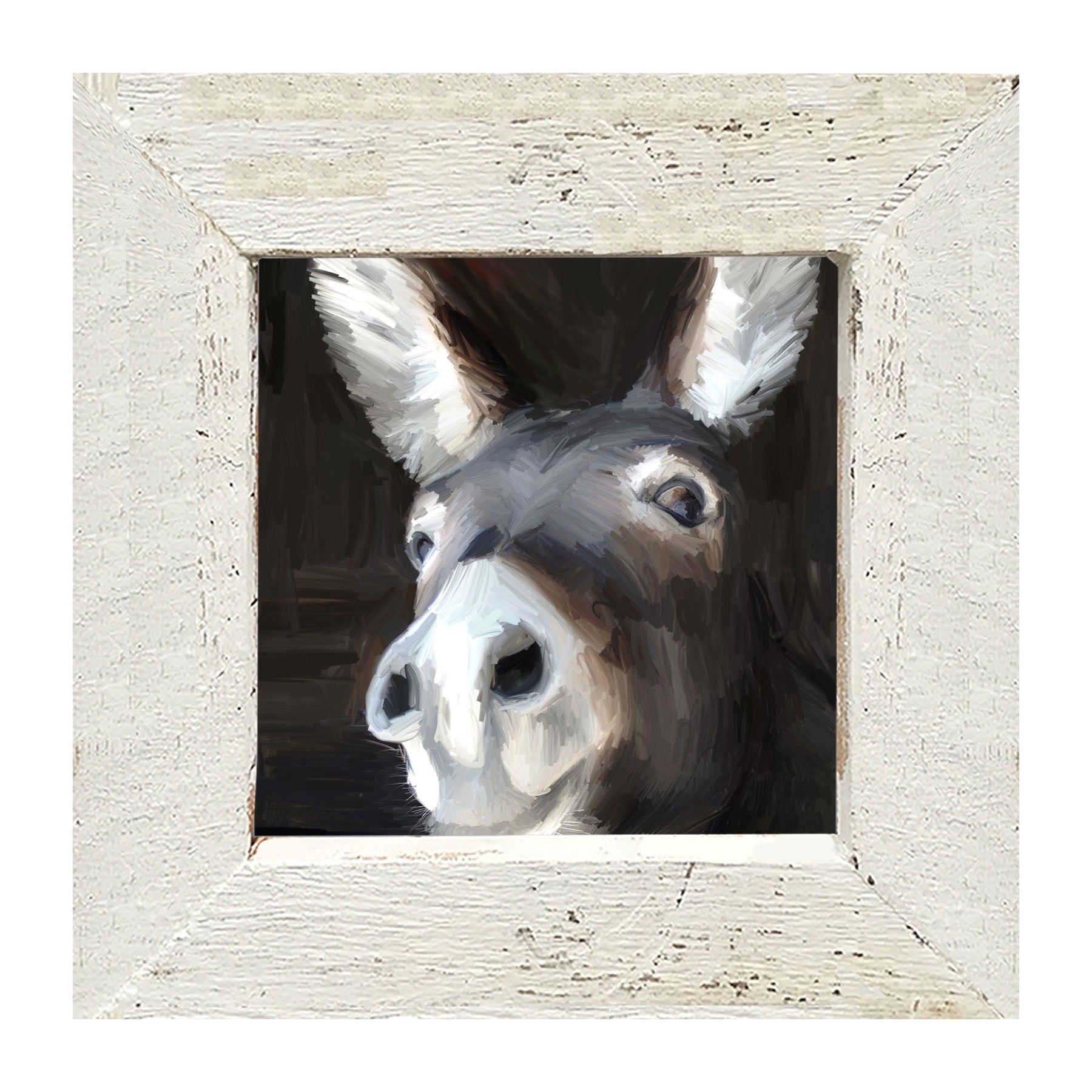 Donkey - Framed art