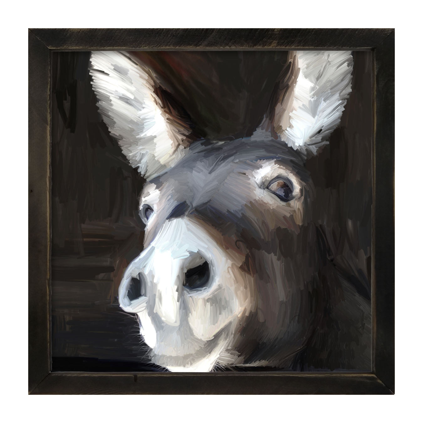 Donkey - Framed art