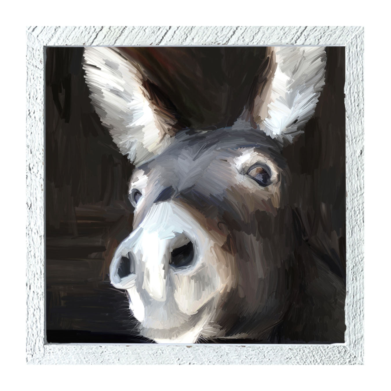 Donkey - Framed art