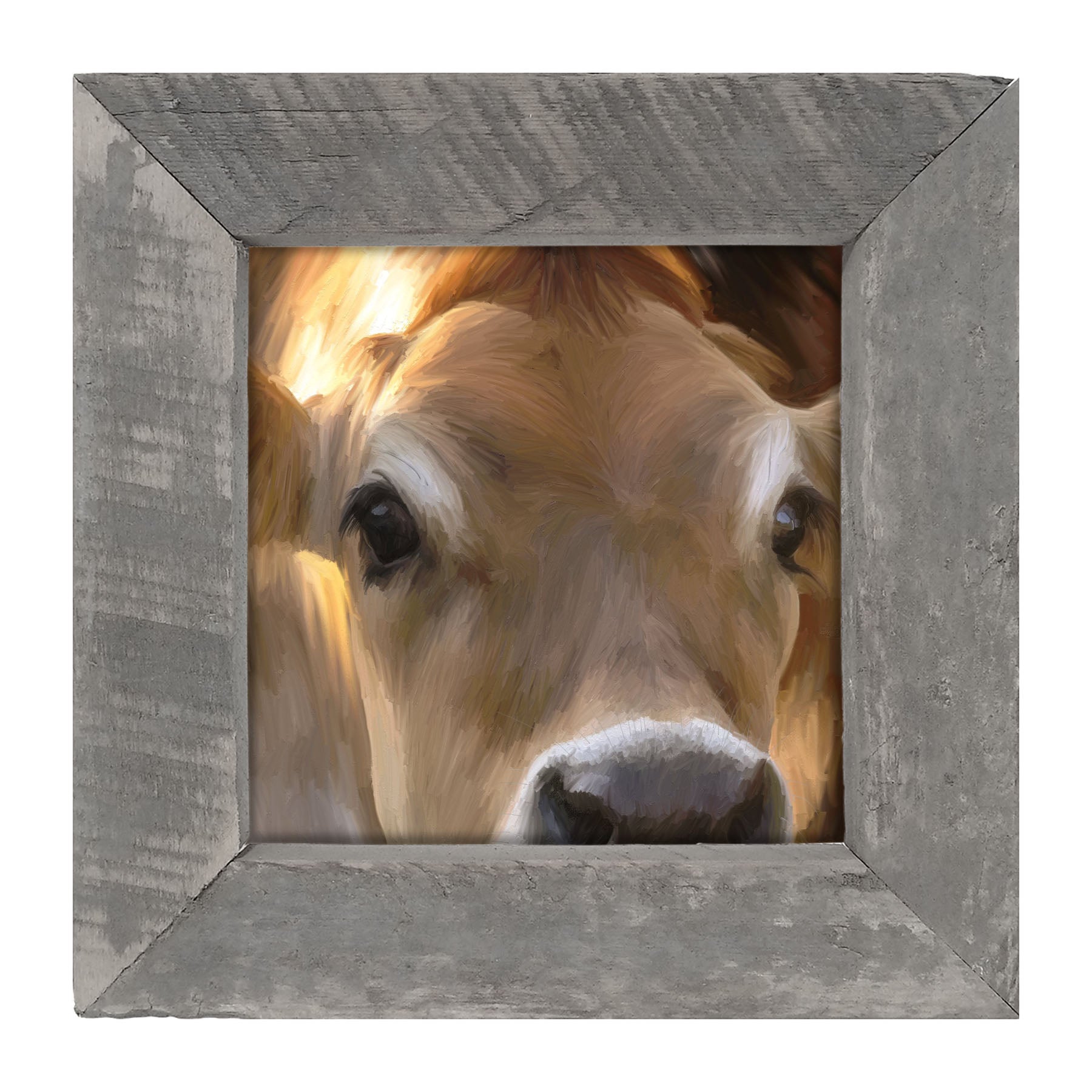 Jersey Cow - Framed art