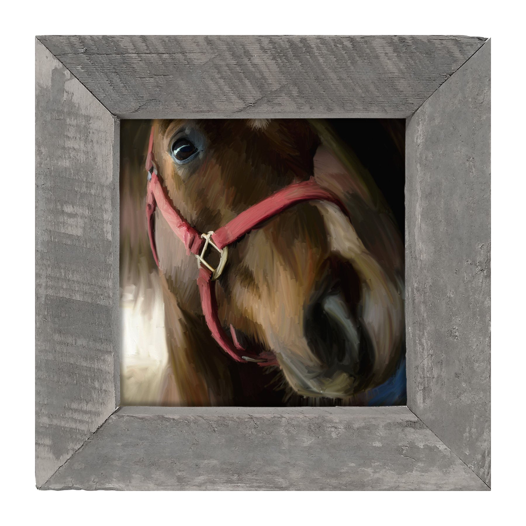 Horse Selfie - Framed art