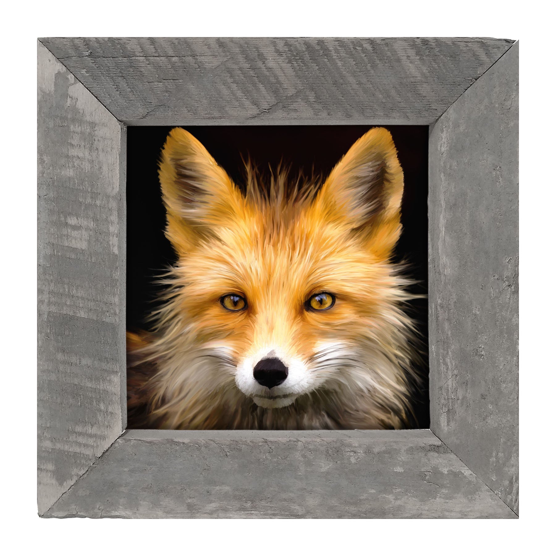 Fox - Framed art