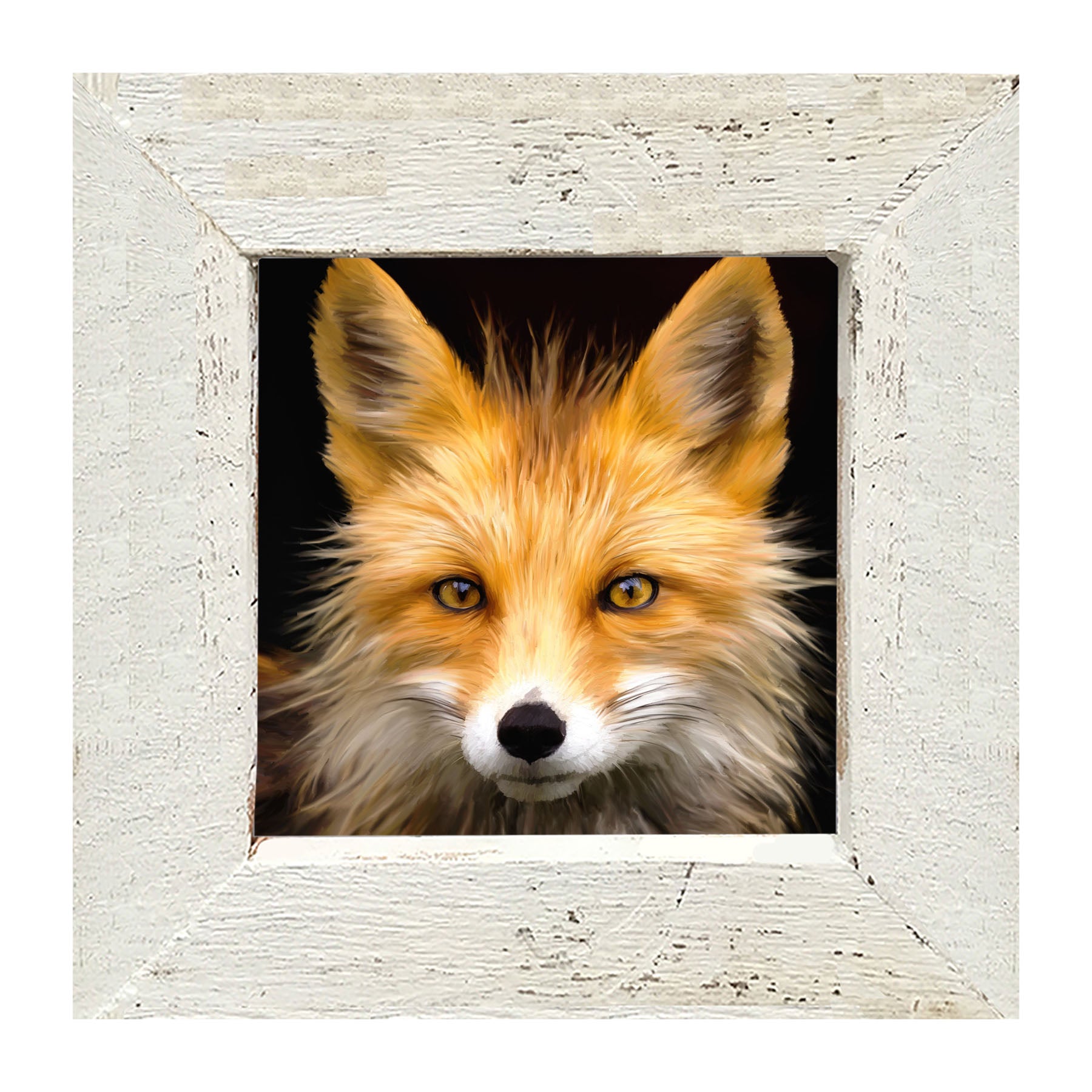 Fox - Framed art