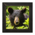 Framed Art