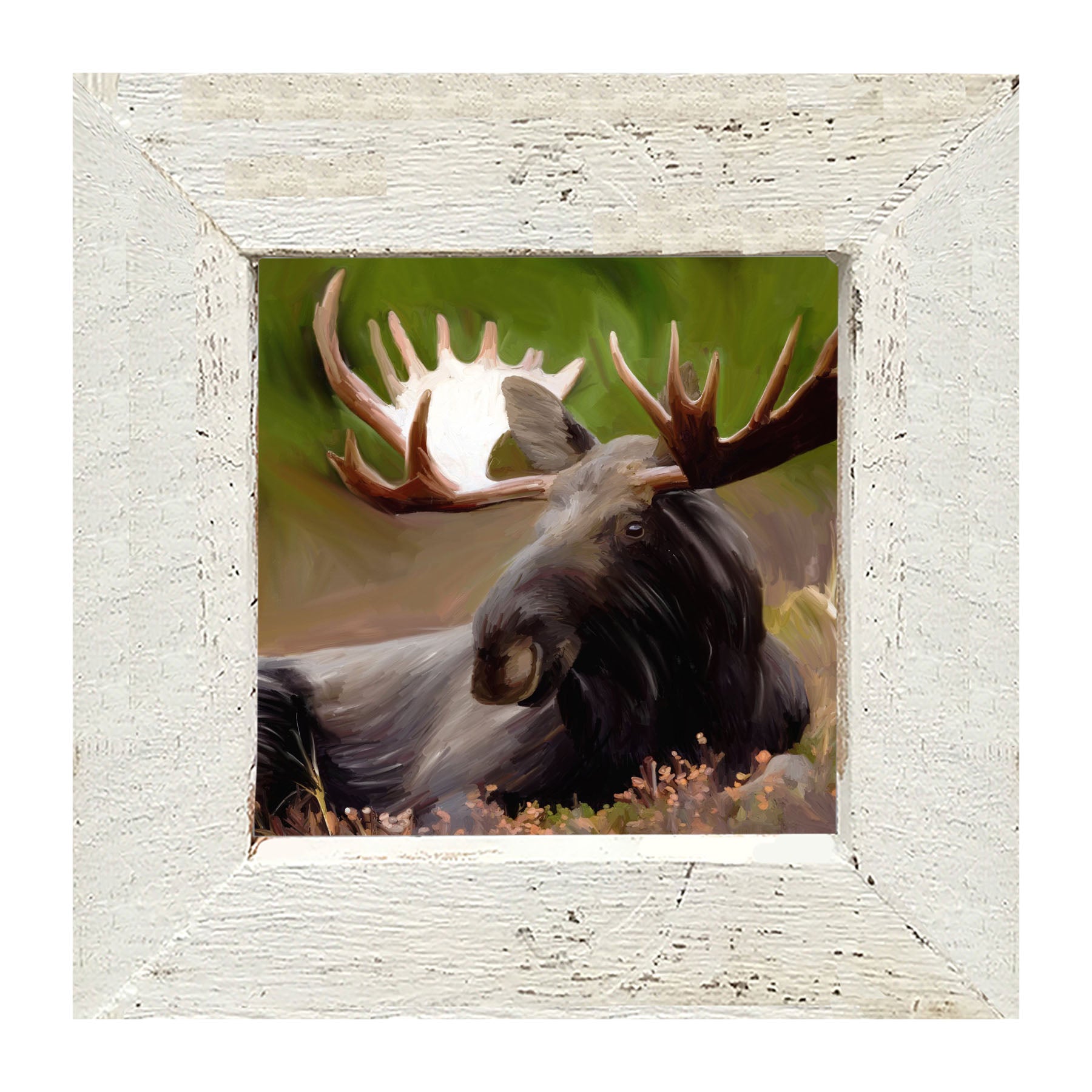 Magnificent Moose - Framed art