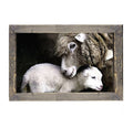 Framed Art