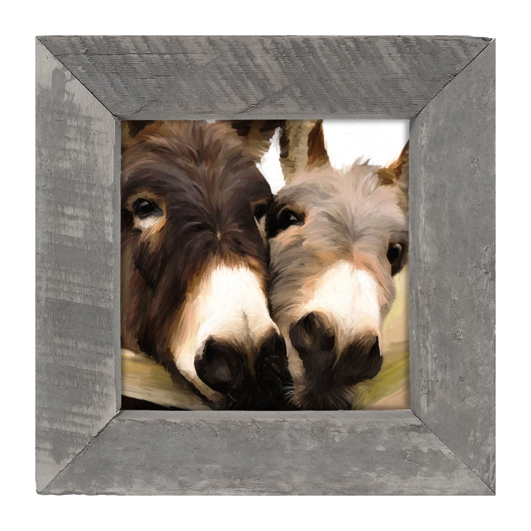 Two Donkeys - Framed art