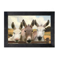 Framed Art