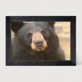 Framed Art