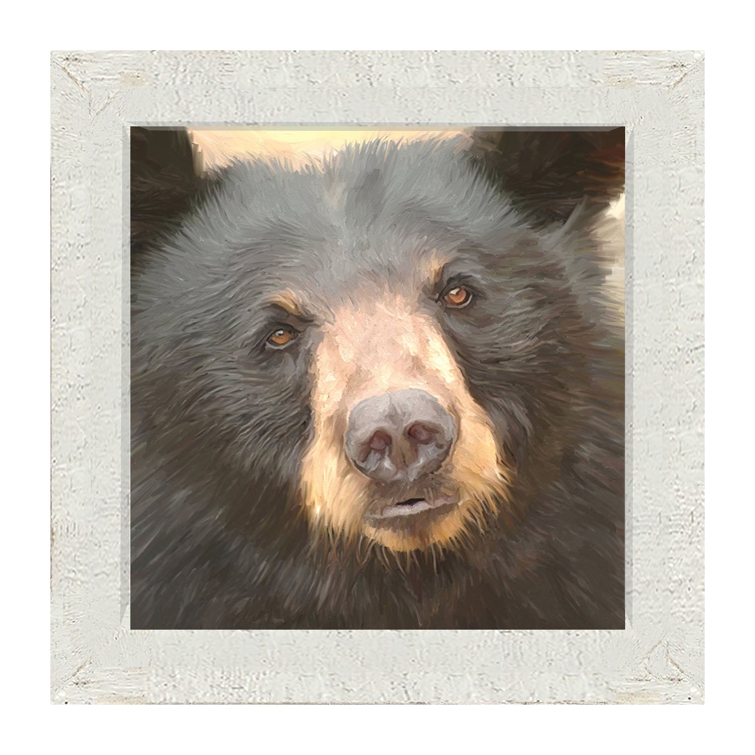 Black Bear - Framed art