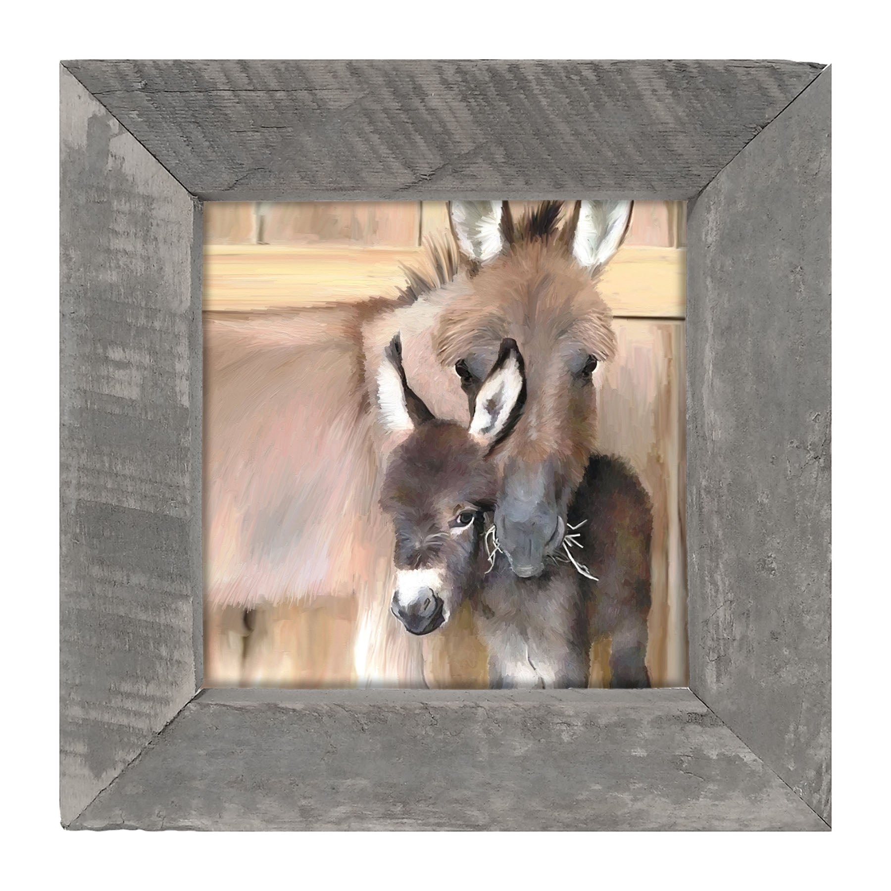 Donkey and baby - Framed art