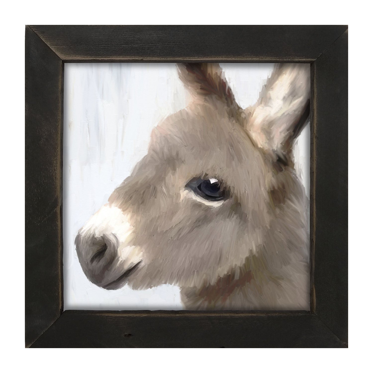 Baby Donkey - Framed art