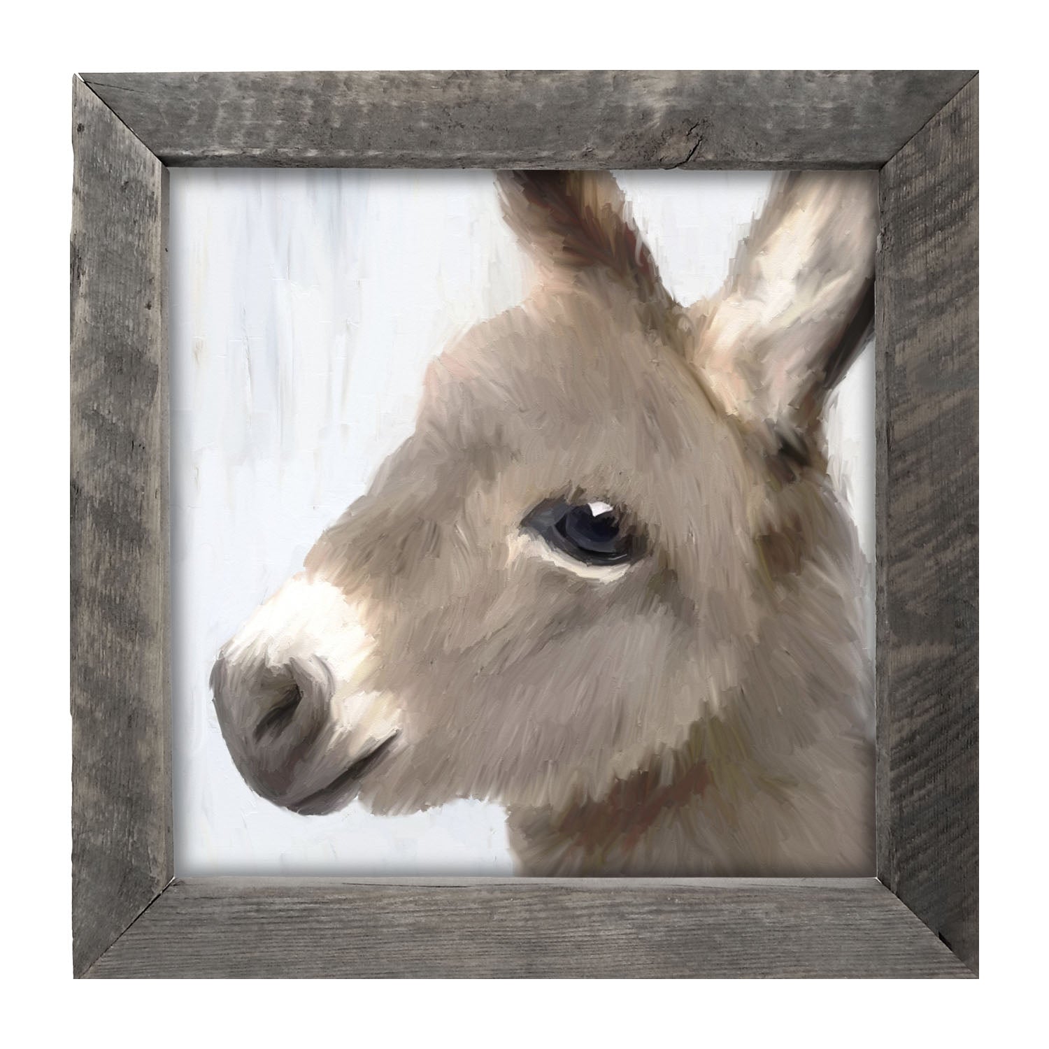 Baby Donkey - Framed art