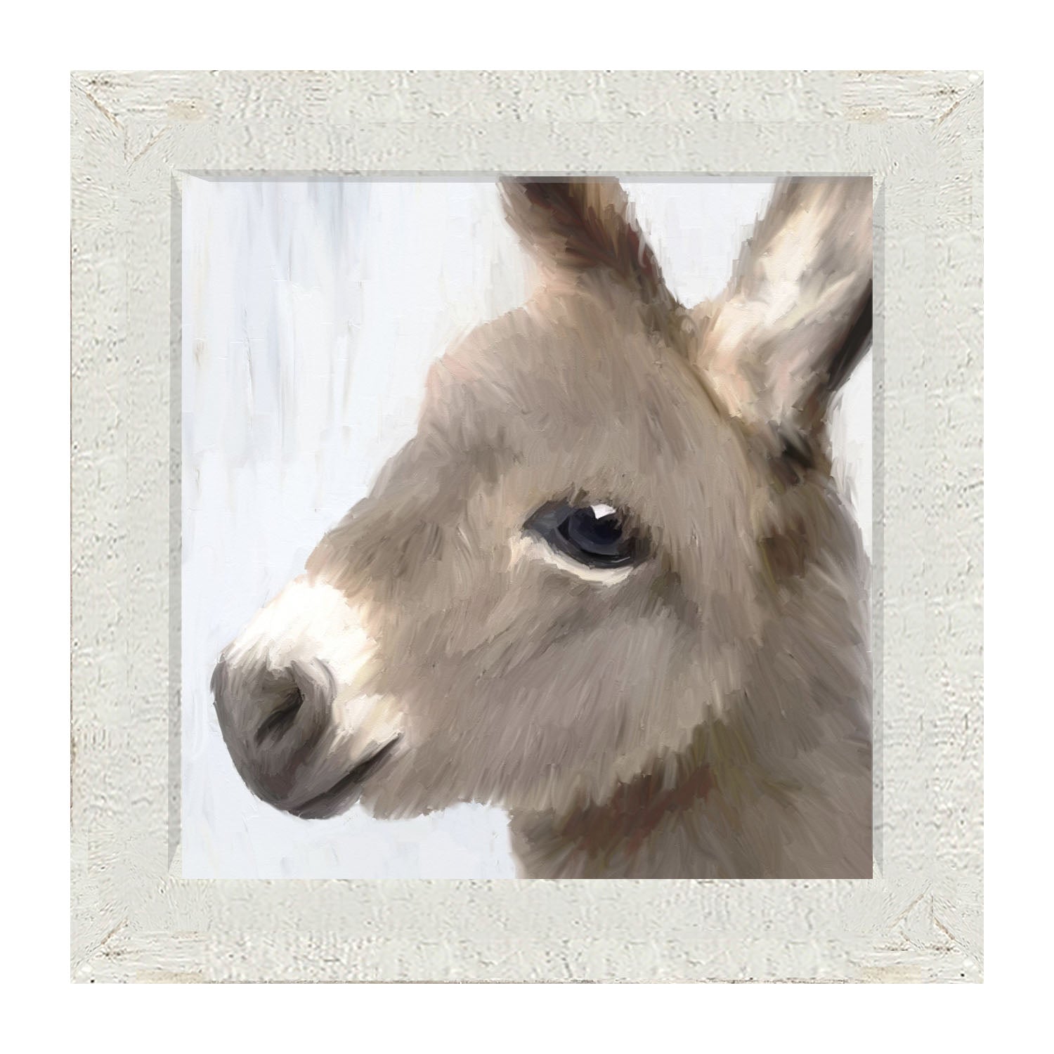 Baby Donkey - Framed art